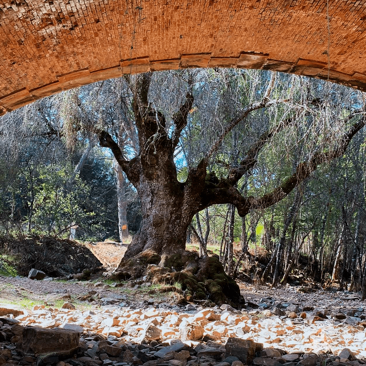 Sendero Río de la Campana 