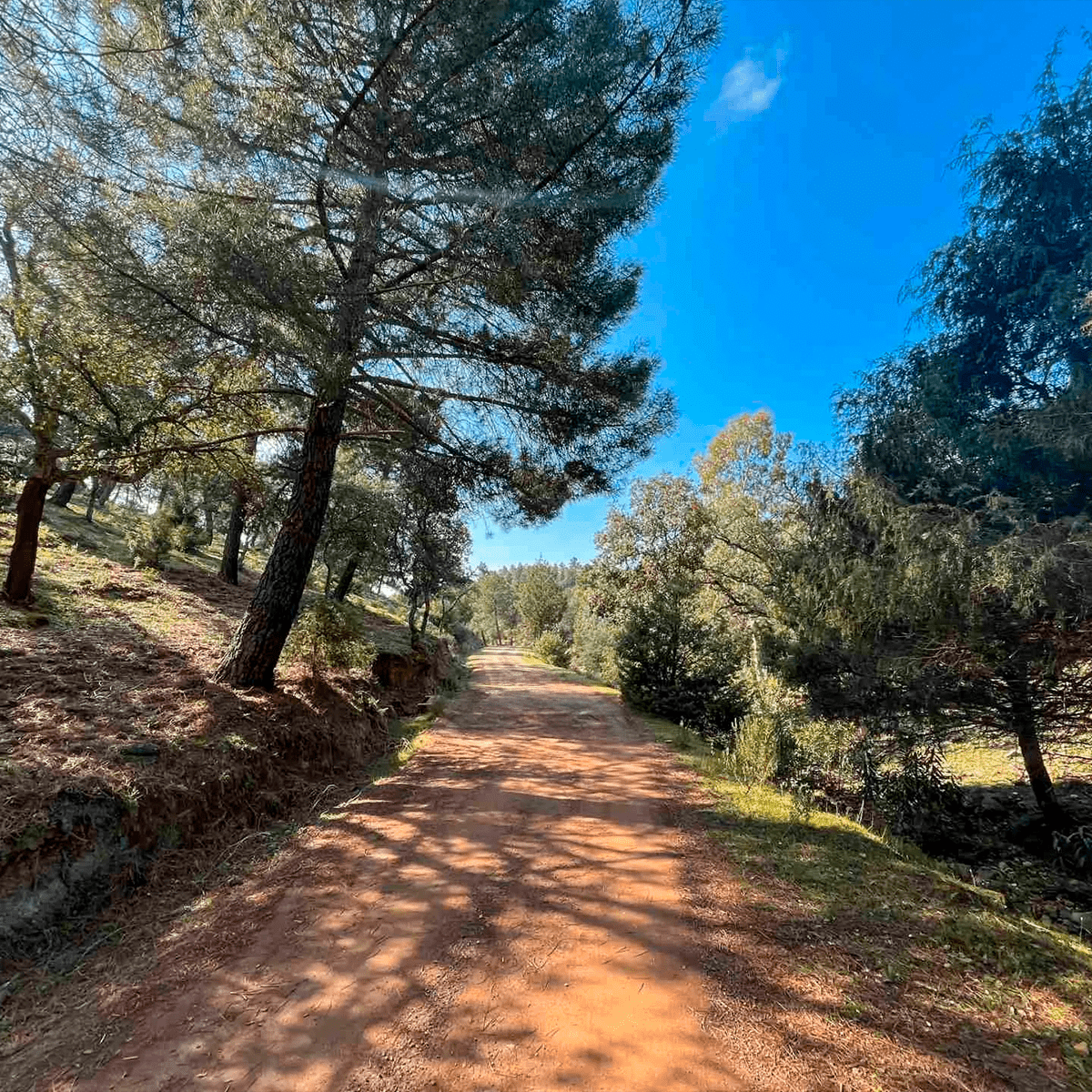 Sendero El Empedraillo 